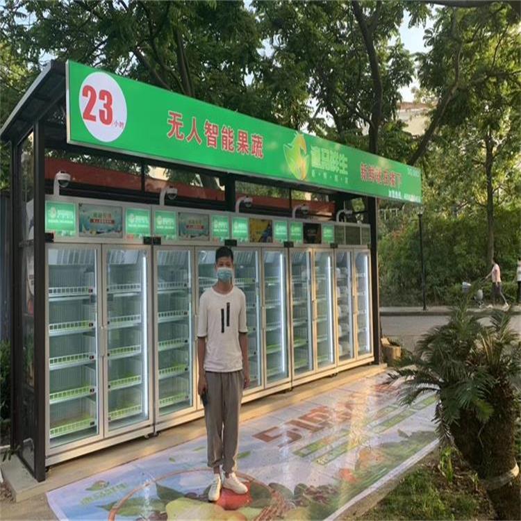 消费扶贫专柜厂家无人果蔬店24小时共享果蔬店社区智能生鲜自提柜广州
